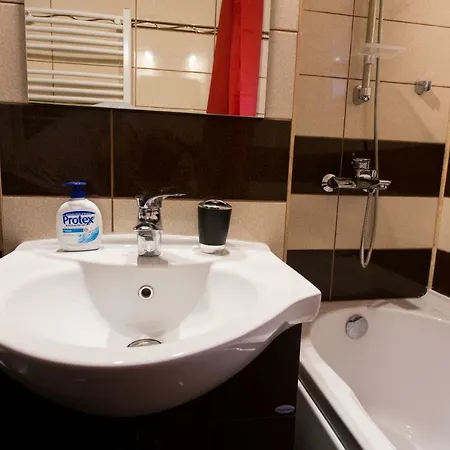 Apartament Feelmount Busteni